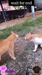 #today  #papular #viral #video #funny #001 #youtubeshorts #ytshorts #shorts #shortvideo #tranding 30 (2)