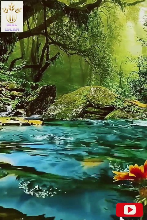 Relaxing with nature and Quran(720P_HD)