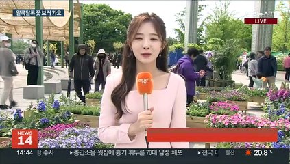 찬란한 꽃들의 향연…4년 만에 열린 고양국제꽃박람회