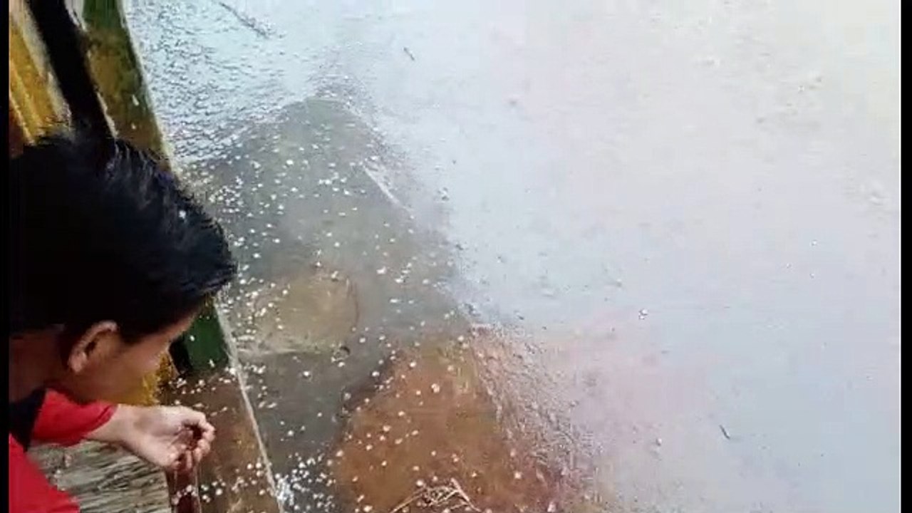 बूंदी जिले के कई गांवों में बेर के आकार के गिरे...