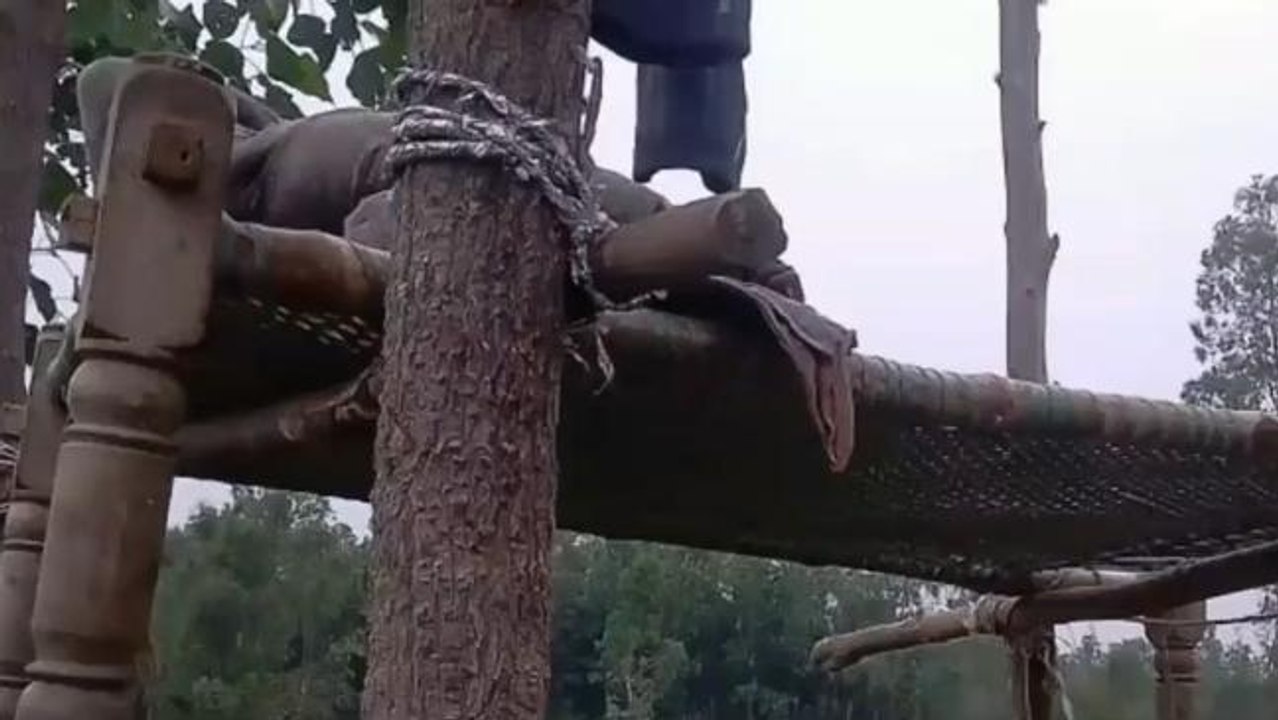 बरेली:खेत पर लटका मिला किशोर का शव,परिजनों में मचा कोहराम