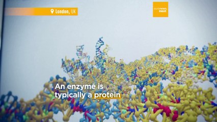 Plastics without pollution? Lab-made enzymes could be key to creating new bioplastics