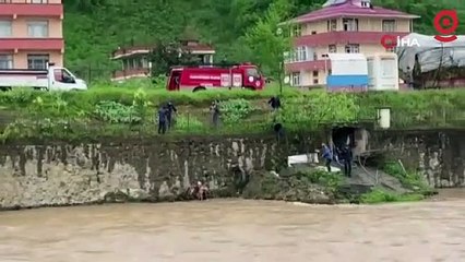 Trabzon'da dereye düşen karaca kurtarıldı