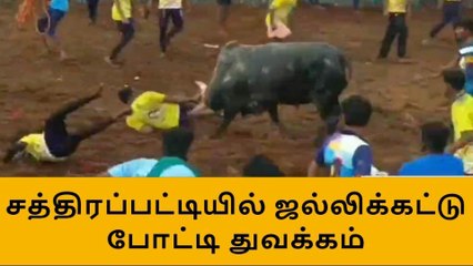 மதுரையில் கோலாகலமாக நடைபெற்று வரும் ஜல்லிக்கட்டு போட்டி !