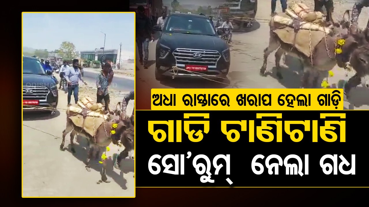 Viral Video – Man uses donkey to tow newly purchased broken vehicle to showroom