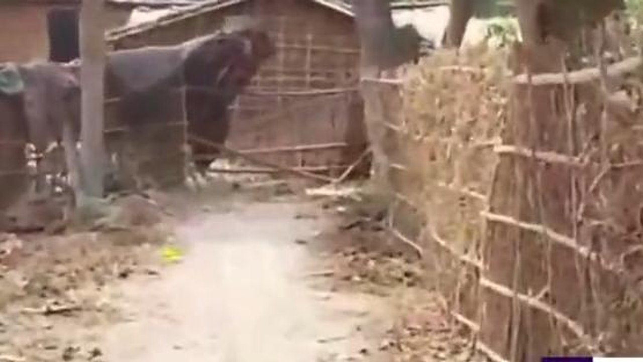 सुपौल: निजी जमीन पर बनी सरकारी सड़क, जमीन मालिक ने रास्ता किया बंद, आवागमन बाधित