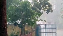 Weather Update- राजधानी जयपुर में तेज बरसात, 20 जिलों में आंधी के साथ बारिश का अलर्ट