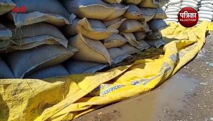 Watch Video : कैसे होगा रोटी का जुगाड़, भीग गया गरीब का गेहूं