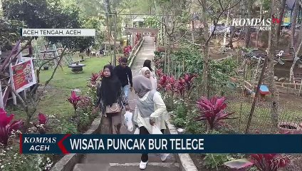 Wisata Puncak Bur Telege Takengon Dipadati Pengunjung