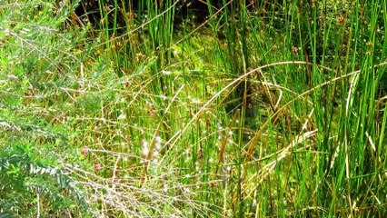 20  ثروات في ارض قاحلة