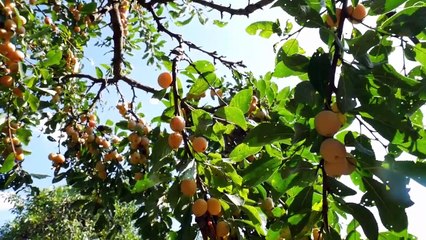 Start Your Day FEELING GOOD I Morning Gratitude Meditation I