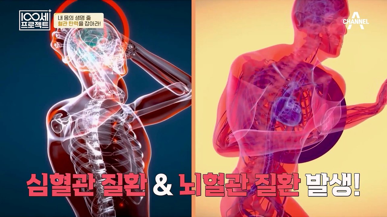 '이것'만 기억하면 혈관 기능을 유지 가능♬ 100세 주치의가 알려주는 혈관 건강의 두 가지 전제조건은?