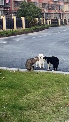 he just wants to be friends  #funny #funny #funny #funny #funny #funny #funny #funny #funny #funny #funny #funny #funny #funny #funny #funny #funny #funny #funny #funny #funny #funny #funny #funny #funny #funny #funny #funny #funny #funny #funny #funny