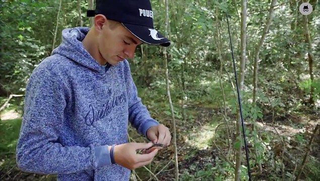 DE LA LEYRE AU PILAT, GÉNÉREUX BASSIN D'ARCACHON