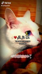 ايآت قرآنية 5