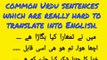 Daily Use English Sentences | Urdu to English Sentences | English Speaking Practice