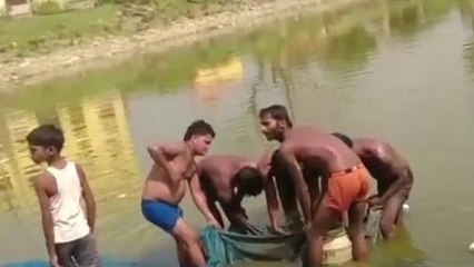 समस्तीपुर: दबंगों ने तालाब से मार लिया 250 किलो मछली, एक ऑटो और जाल हुआ जब्त