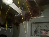 video: आकाशीय बिजली गिरने से मकान की पट्टियां टूटी