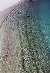 Dramatic encounters in the Maldives! -