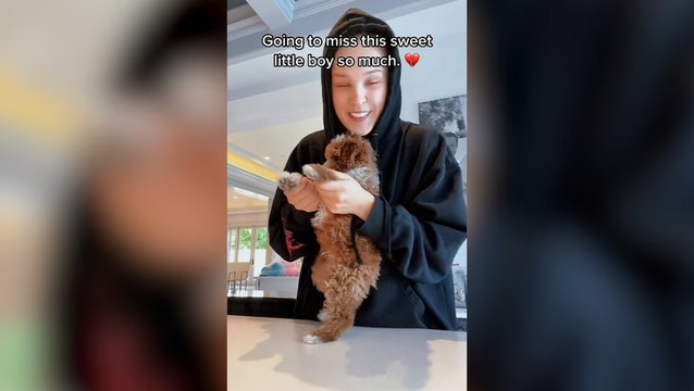 JoJo Siwa pays tribute to ‘perfect’ puppy who died two months after getting him
