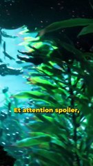 La suite de ce jeux fait un Bad buzz à cause d'un détail ridicule...