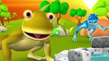 Story of Two Frogs _ Moral Stories in English _ Moral Story for kids