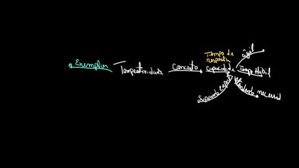 O que é tempestividade | Atendimento ao público