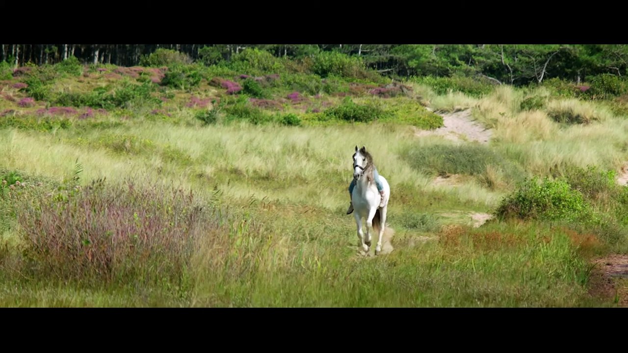 Silverstar Movie