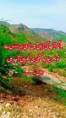 Best islami shorts video, shorts, islamic whatsapp status, islamic