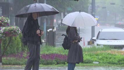 [날씨] 절기 '입하', 비 오후 늦게 그쳐...해안 강풍 / YTN