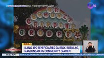 Ilang 4Ps beneficiaries sa Brgy. Buenlag, Calasiao, Pangasinan, naglunsad ng community garden | BT