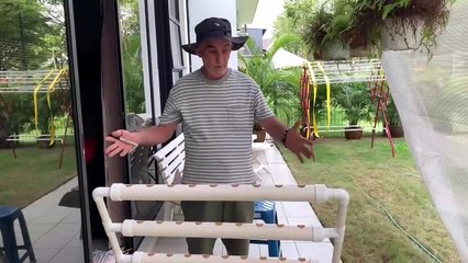 Installation of a HYDROPONICS Home System for Novices How to Easily Grow Vegetables