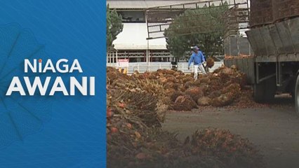 Pasaran niaga hadapan minyak sawit mentah tempatan dijangka tinggi