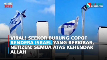 Viral Seekor Burung Copot Bendera Israel yang Berkibar, Netizen: Semua Atas Kehendak Allah
