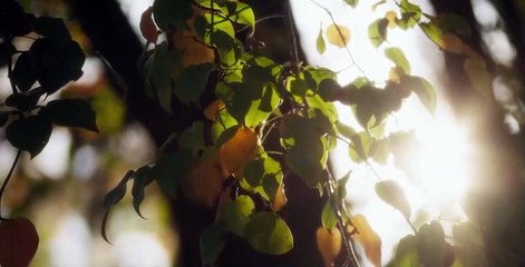 The Girl From Plainville S01 E08