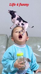 Funny Try Not To Laugh Challenge 7M views mp4