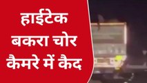 लखनऊ: चलते ट्रक से बकरे चोरी करने का वीडियो वायरल,अब पुलिस जुटी तलाश में