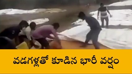 చొప్పదండి: వడగళ్ల వర్షంతో తడిసిపోయిన వరి ధాన్యం
