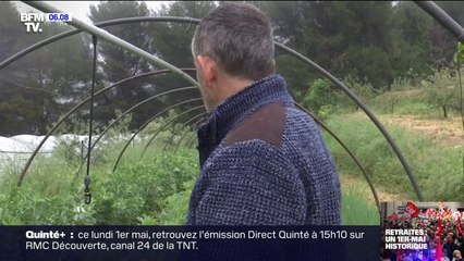 Déjà des pertes conséquentes pour les agriculteurs à cause de la sécheresse