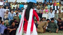 Mehak Malik - Jadan Char Gai - Saraiki Dance 2023