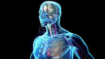 Cilnidipine |Cilacar | ब्लड प्रेशर की   दवाई | Cilaheart 10 | Hypertension | Blood Pressure |