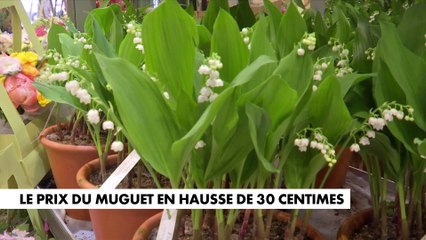 1er-Mai : le prix du muguet en hausse