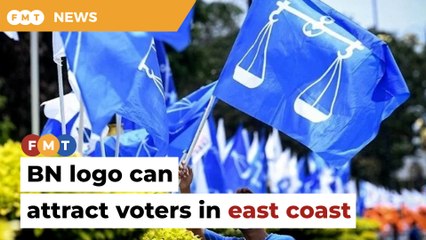 PH will gain by using BN logo in east coast, says analyst