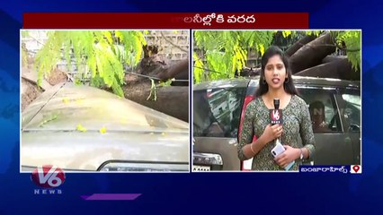Tree Got Uprooted And Blocked The Road At Banjarahills Road No 10  _ V6 News