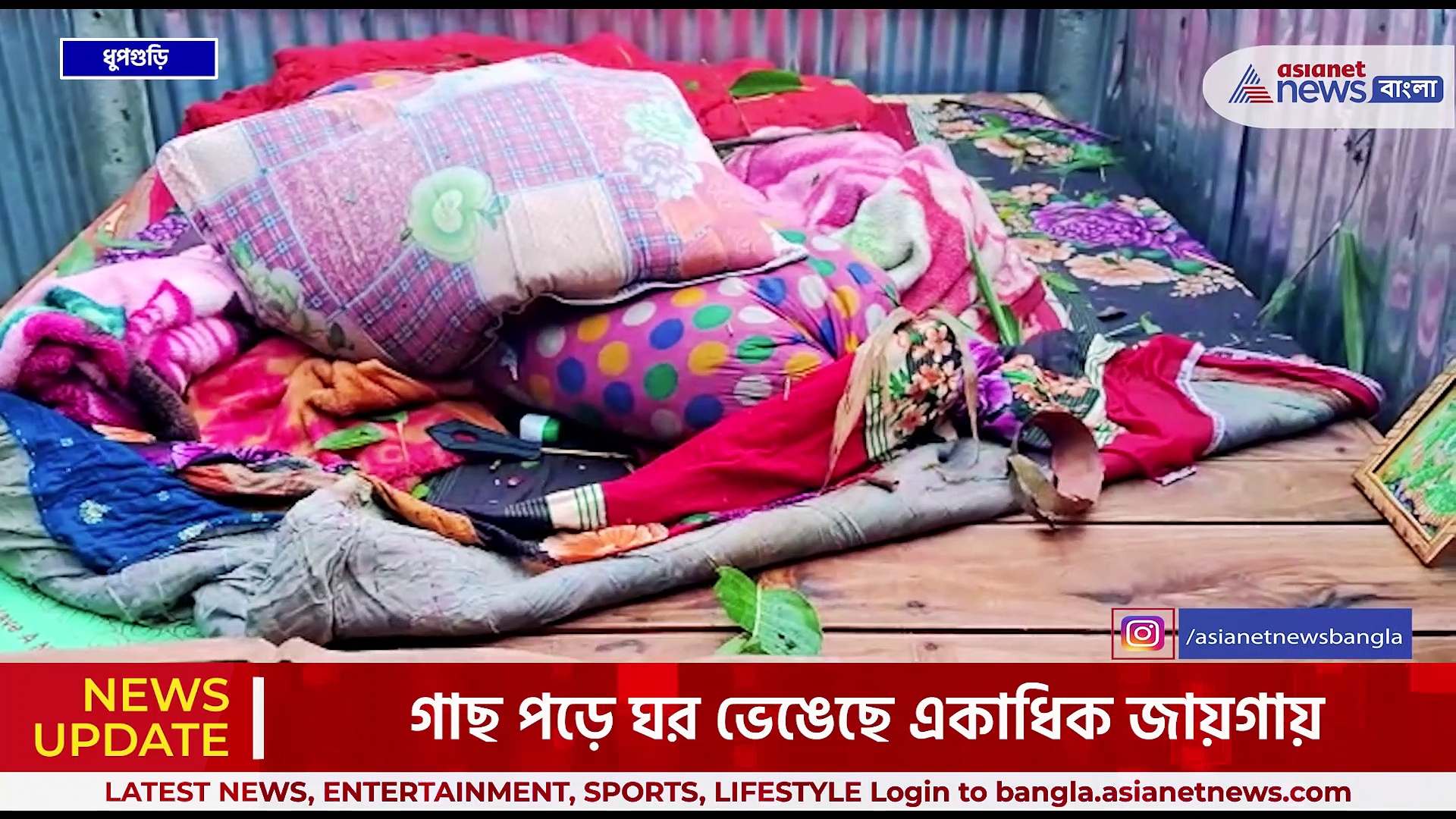 ঝড় ও প্রবল শিলাবৃষ্টিতে লণ্ডভণ্ড জলপাইগুড়ির ধুপগুড়ি, গাছ পড়ে ক্ষতিগ্রস্ত কয়েকশো বাড়ি