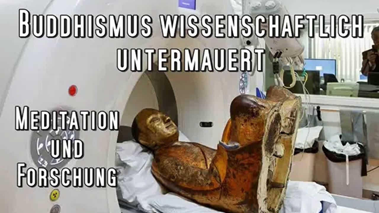 Meditation und Forschung - Buddhismus wissenschaftlich untermauert -  Micheline Rampe