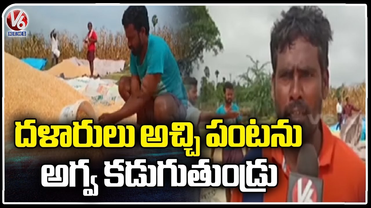 Corn Farmers Face Problems With Unseasonal Rains In Madhira _ Khammam _ V6 News