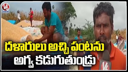 Corn Farmers Face Problems With Unseasonal Rains In Madhira _ Khammam _ V6 News