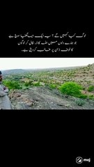 اللہ تعالیٰ کا شکر ادا کریں اور صبر کریں