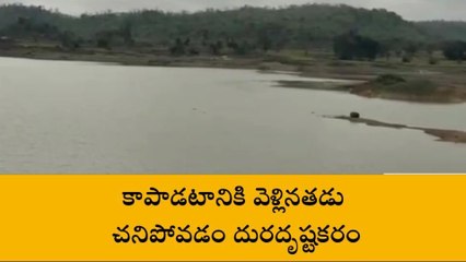 రాజంపేట: చెరువులో మృతదేహం లభ్యం